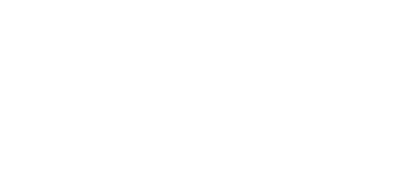 Angie Grande's Mission Journey